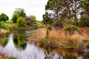 river landscape in the countryside