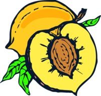 peaches sliced