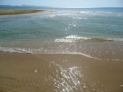 fuerteventura canary beach sea