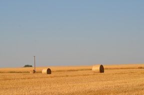 golden field with straw rolls in Poland