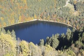 Forest and lake in the autumn