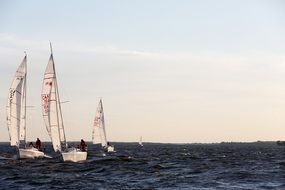 sailboats on the ocean