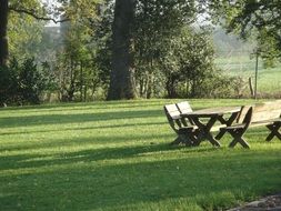 Wooden bench for picnic