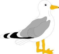 graphic image of a seagull