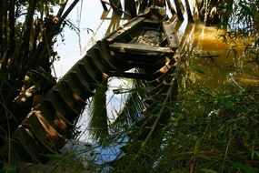 abandoned wooden boat in the jungle
