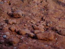 sand stone soil close up
