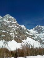 mountain val ferret