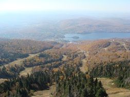 aerial view of autumn forest, canada, quÃ©bec
