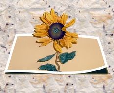 Decoration with sun flower