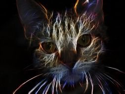 cat head, fractal effect