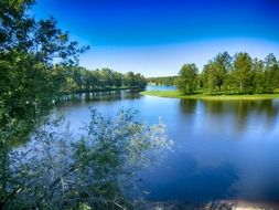 Beautiful and colorful picturesque lake with plants in weden in summer