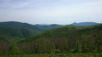 panorama of mountains covered with green forests