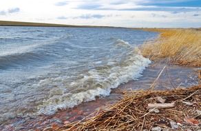 lake water wave
