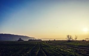 rural landscape at sunsets