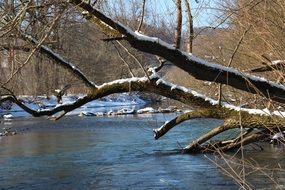 Landscape of the snowy river and forest