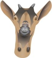goat head drawing