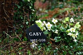 grave in the old cemetery