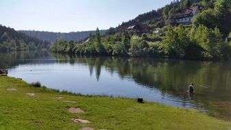 forest mirroring in the lake