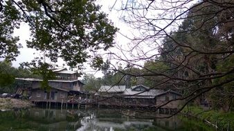 landscape of beautiful houses by the pond