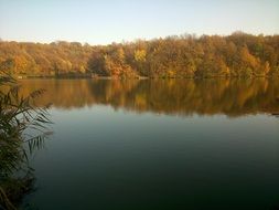 lake with reflection of autumn forest