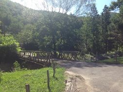 spectacular beautiful forest bridge