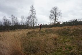 happy woman on the field