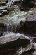 water in the mountains