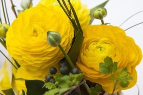yellow flowers in a spring bouquet