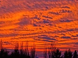 orange sky with clouds