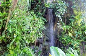 climatron is a tropical botanical garden in the state of Missouri