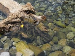 most beautiful water rocks