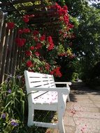 White wooden park bench