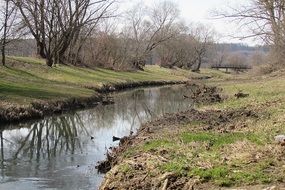 peaceful creek in spring