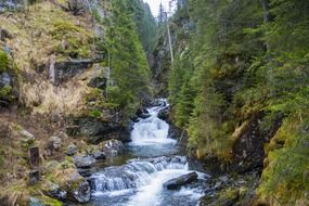 fast forest waterfall in the mountains