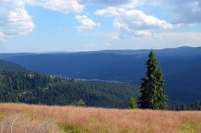picture of the the apuseni mountains in Cluj
