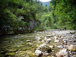 mountain stream in upper bavaria