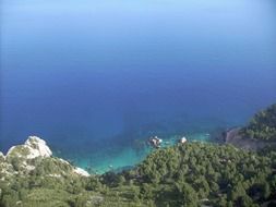green rocky coast in mallorca