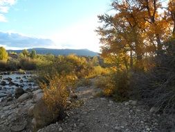 shallow rocky river
