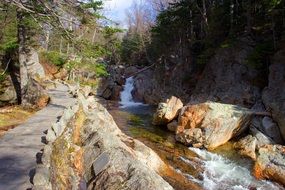 hiking trail in forest along mountain river