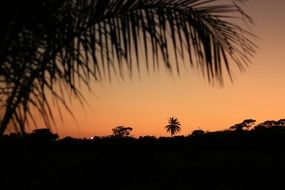 orange sky after sunset in tropics