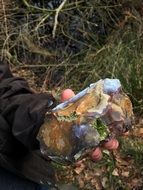 colored stone in the hand of man in the woods