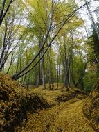 the founding fathers national park in Poland