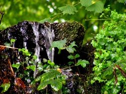 water, green rocks close-up on blurred background