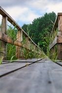 wooden narrow bridge in nature close up