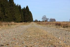 stone road away in autumn landscape
