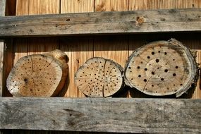 wooden hotels for insects