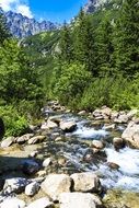 Beautiful landscape of the river with stones in the mountains with green trees