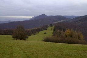 green meadows in Slovakia