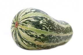 phallic zucchini