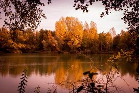 scenic forest lake in autumn at dusk